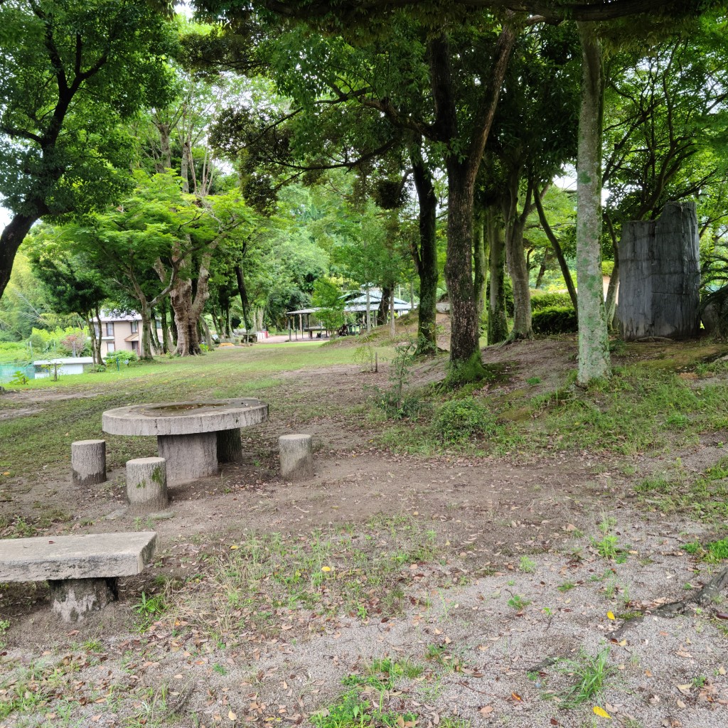 実際訪問したユーザーが直接撮影して投稿した神戸公園神戸公園の写真