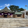 実際訪問したユーザーが直接撮影して投稿した中之町神社亀山八幡宮の写真