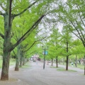 実際訪問したユーザーが直接撮影して投稿した水前寺公園神水町公園の写真