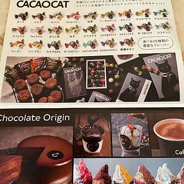 CACAOCAT チョコレート専門店のundefinedに実際訪問訪問したユーザーunknownさんが新しく投稿した新着口コミの写真