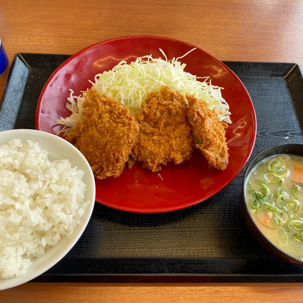 ユーザーが投稿したヒレカツ定食の写真 - 実際訪問したユーザーが直接撮影して投稿した東松戸とんかつかつや 東松戸駅前店の写真