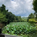 実際訪問したユーザーが直接撮影して投稿した嵯峨小倉山田淵山町神社御髪神社の写真