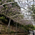 実際訪問したユーザーが直接撮影して投稿した西宮町神社足利織姫神社の写真