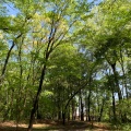 実際訪問したユーザーが直接撮影して投稿した駒生町公園とちぎ健康の森の写真