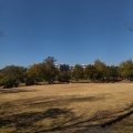 実際訪問したユーザーが直接撮影して投稿したふじの台公園西陵公園の写真
