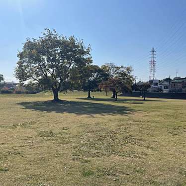 実際訪問したユーザーが直接撮影して投稿した上島公園馬込川上島緑地の写真