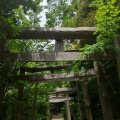 実際訪問したユーザーが直接撮影して投稿した弁天神社厳島神社の写真