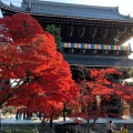 実際訪問したユーザーが直接撮影して投稿した黒谷町寺金戒光明寺の写真