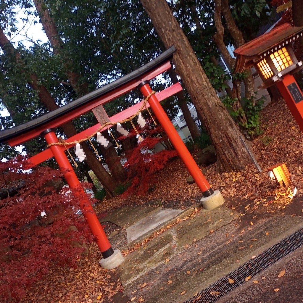 実際訪問したユーザーが直接撮影して投稿した森神社大森神社の写真