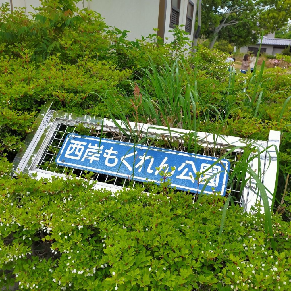 実際訪問したユーザーが直接撮影して投稿した大平台公園西岸もくれん公園の写真