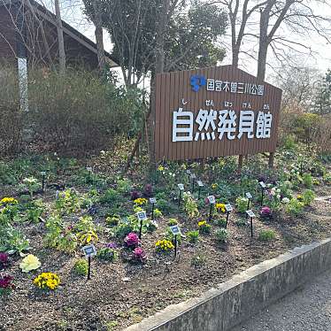 実際訪問したユーザーが直接撮影して投稿した川島笠田町公園木曽三川公園の写真