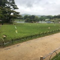 実際訪問したユーザーが直接撮影して投稿した後楽園庭園岡山後楽園の写真