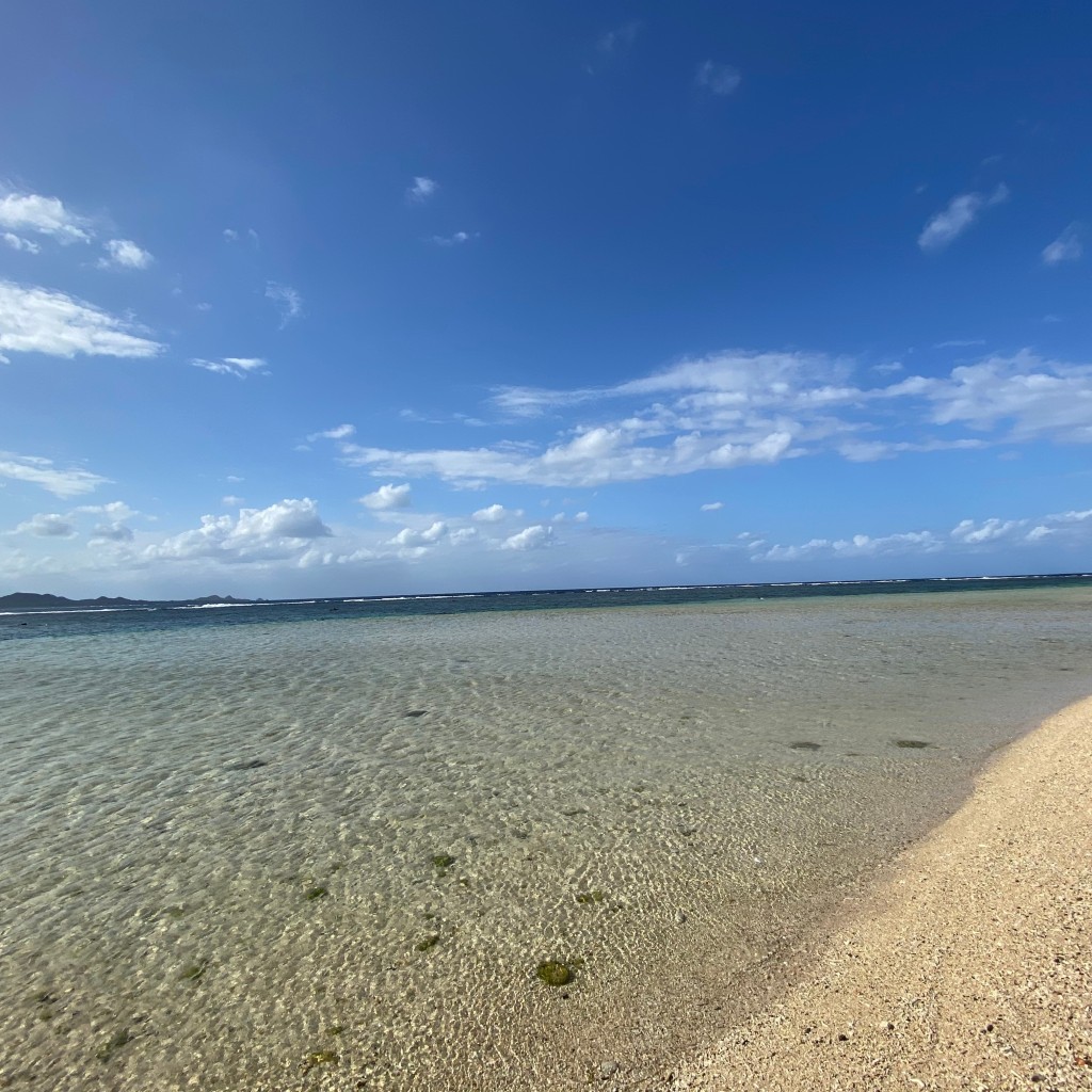 実際訪問したユーザーが直接撮影して投稿した桴海レンタル / リースJelly Fishの写真