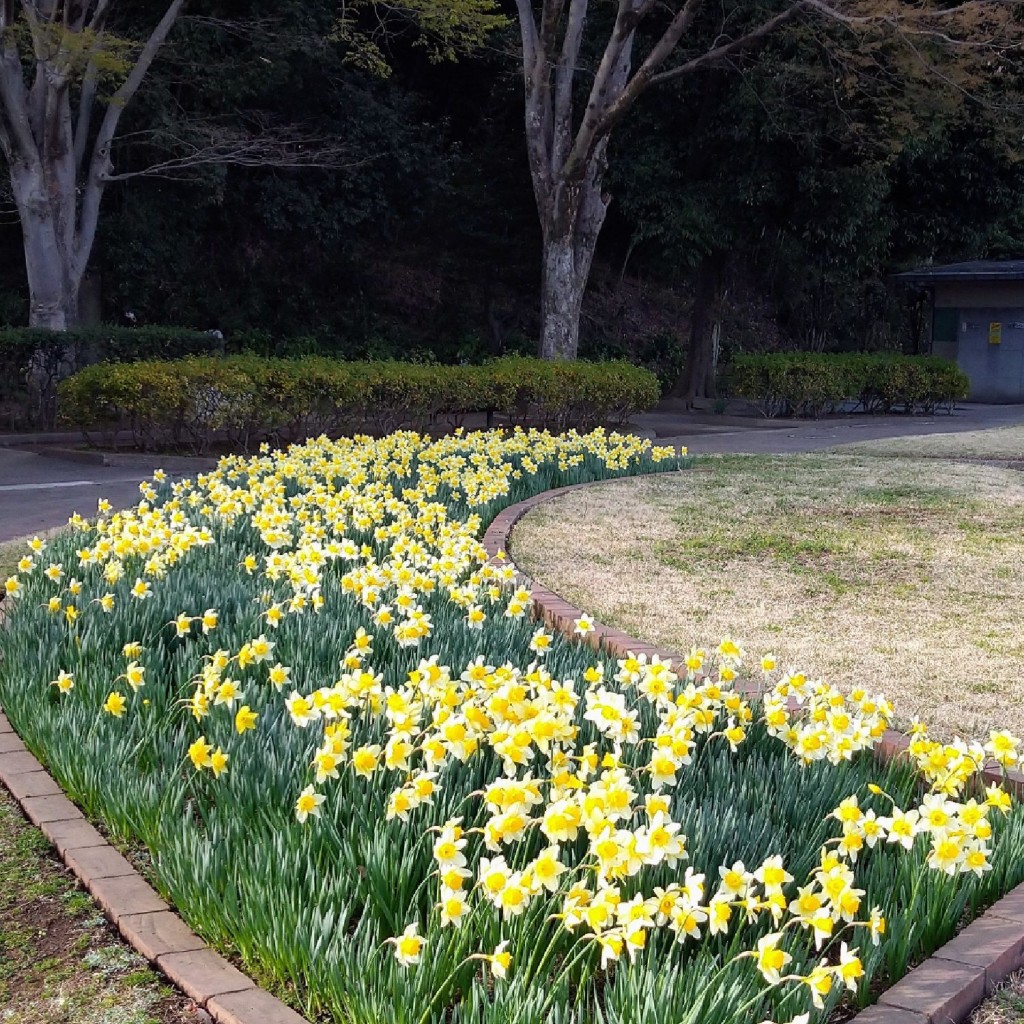 実際訪問したユーザーが直接撮影して投稿した城公園滝の城址公園の写真