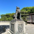 実際訪問したユーザーが直接撮影して投稿した藤方神社結城神社の写真