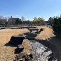 実際訪問したユーザーが直接撮影して投稿した春木公園真菰池親水公園の写真