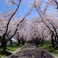 実際訪問したユーザーが直接撮影して投稿した厚田区望来公園戸田記念墓地公園の写真