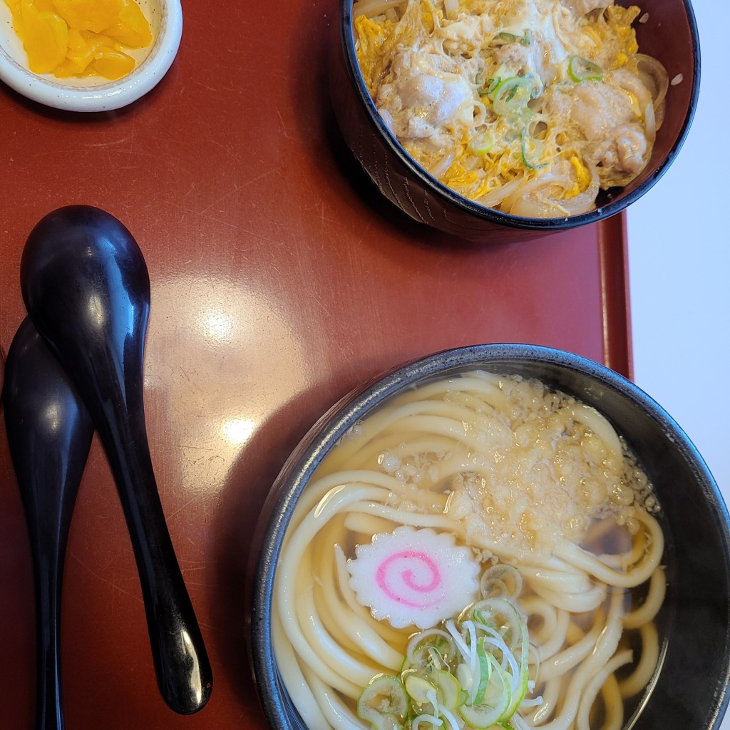 ユーザーが投稿した親子丼定食の写真 - 実際訪問したユーザーが直接撮影して投稿した平田町蛇池うどんはまうず商店の写真