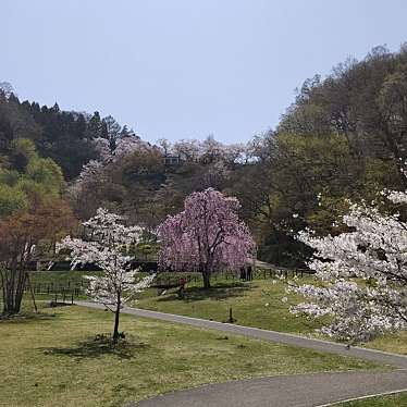 実際訪問したユーザーが直接撮影して投稿した天童公園天童公園(舞鶴山)の写真