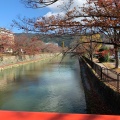 実際訪問したユーザーが直接撮影して投稿した岡崎西天王町神社平安神宮の写真