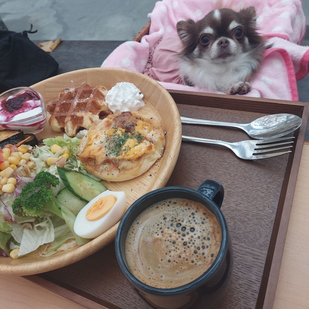 JJmamaさんが投稿した駒立町カフェのお店石窯カフェ/イシガマカフェの写真