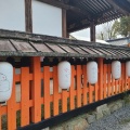 実際訪問したユーザーが直接撮影して投稿した宇治神社宇治神社の写真