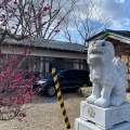 実際訪問したユーザーが直接撮影して投稿した桜ケ岡公園神社櫻岡大神宮の写真