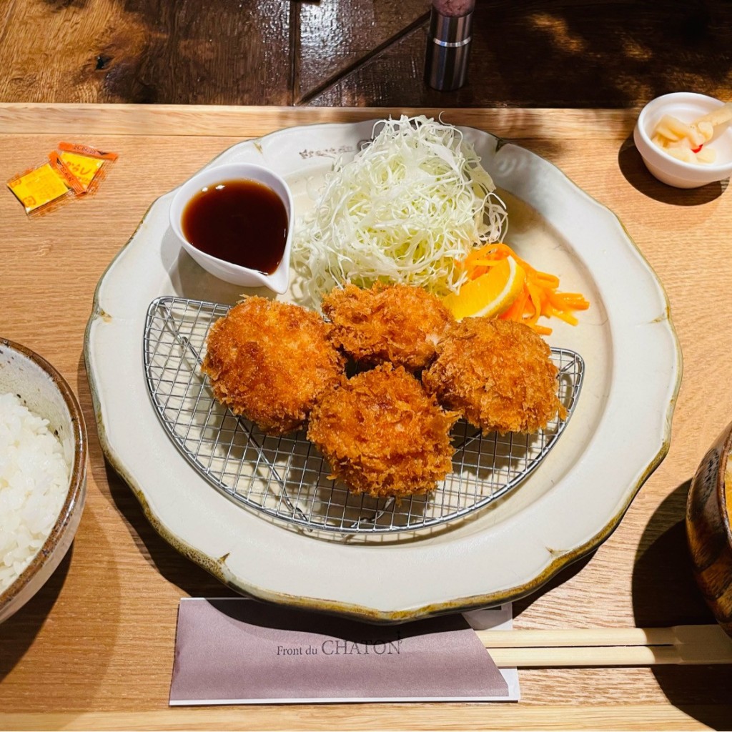 ユーザーが投稿したSPFひれかつ定食の写真 - 実際訪問したユーザーが直接撮影して投稿した神田神保町とんかつFront du CHATONの写真