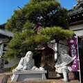 実際訪問したユーザーが直接撮影して投稿した腰越寺満福寺の写真
