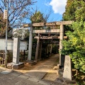 実際訪問したユーザーが直接撮影して投稿した弁天神社厳島神社の写真