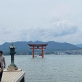 実際訪問したユーザーが直接撮影して投稿した宮島町神社嚴島神社 参拝入口の写真