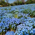 実際訪問したユーザーが直接撮影して投稿した清水アスレチック清水公園の写真