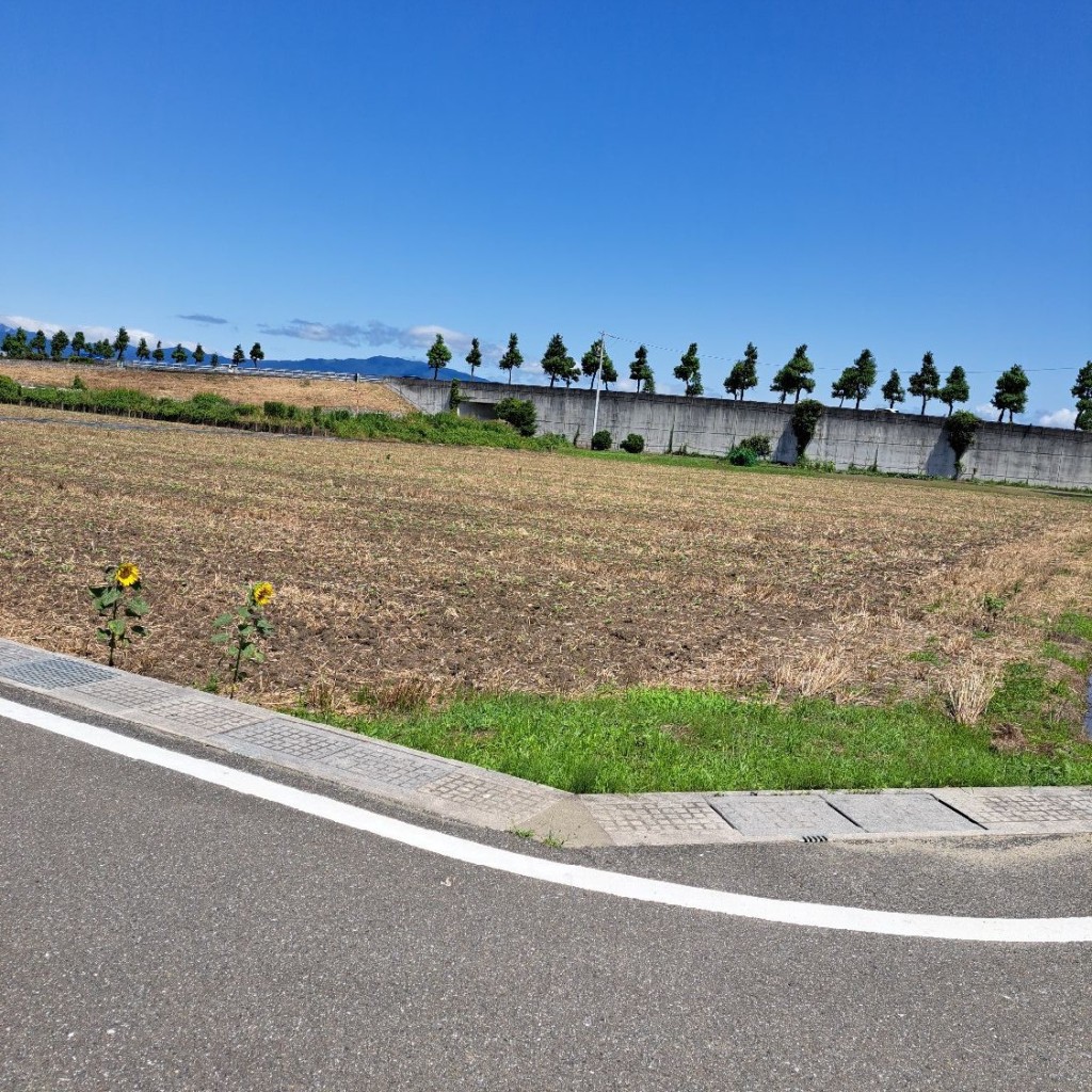 実際訪問したユーザーが直接撮影して投稿した東前町生息地 / 群生地・飛来地大垣ひまわり畑の写真