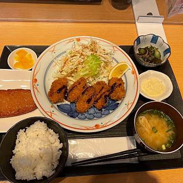 実際訪問したユーザーが直接撮影して投稿した新井定食屋いわみのおばちゃん家の写真