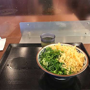 丸亀製麺 昭島店のundefinedに実際訪問訪問したユーザーunknownさんが新しく投稿した新着口コミの写真