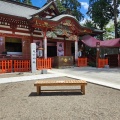 実際訪問したユーザーが直接撮影して投稿した東郷神社大前神社の写真