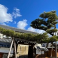 実際訪問したユーザーが直接撮影して投稿した犬山寺妙海寺の写真