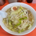 塩ラーメン - 実際訪問したユーザーが直接撮影して投稿した関町南ラーメン専門店らーめん いごっそうの写真のメニュー情報