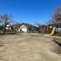 実際訪問したユーザーが直接撮影して投稿した平京田公園ひまわり公園の写真