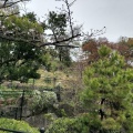 実際訪問したユーザーが直接撮影して投稿した青葉台公園西郷山公園の写真