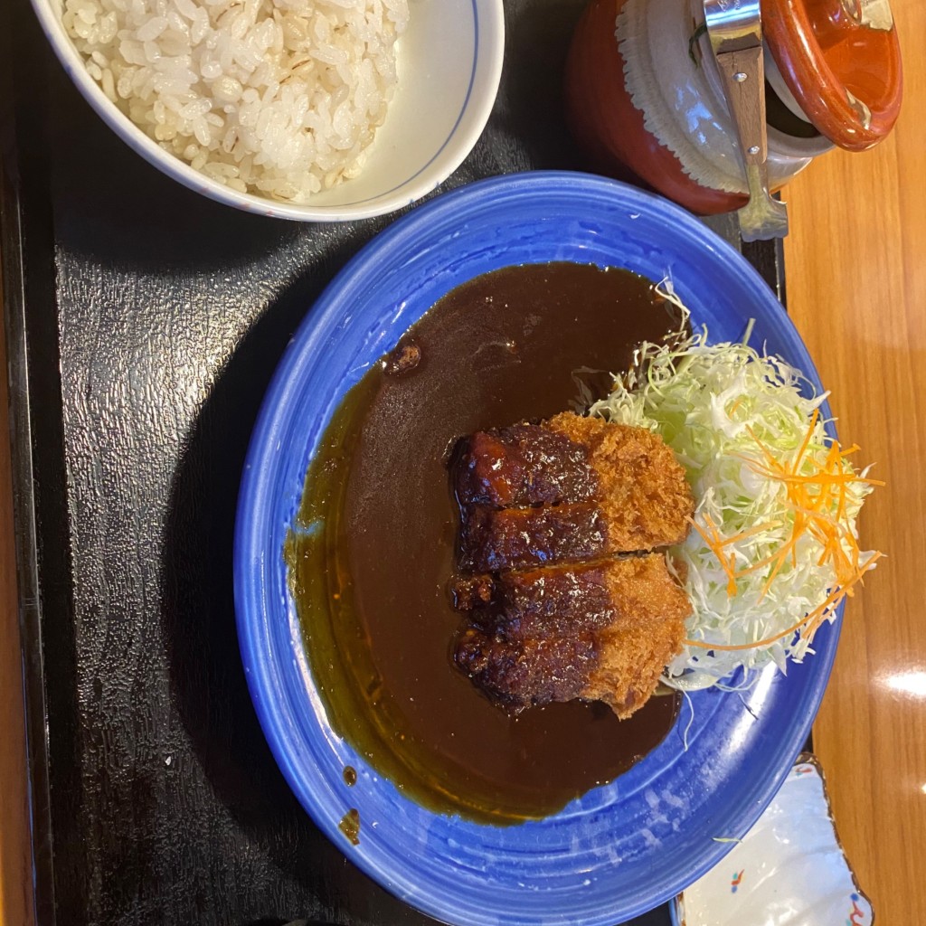 ユーザーが投稿した味噌ヒレかつ定食の写真 - 実際訪問したユーザーが直接撮影して投稿した吉原町とんかつかつ雅 豊田吉原店の写真