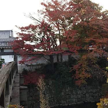 実際訪問したユーザーが直接撮影して投稿した水口町本丸資料館水口城資料館の写真