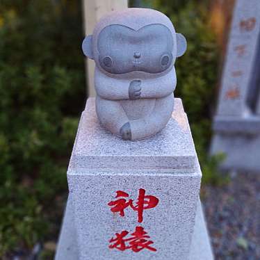 実際訪問したユーザーが直接撮影して投稿した猿江神社猿江神社の写真