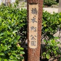 実際訪問したユーザーが直接撮影して投稿した橋本町公園橋本町公園の写真