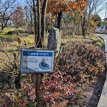 西大寺緑花公園のundefinedに実際訪問訪問したユーザーunknownさんが新しく投稿した新着口コミの写真