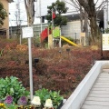 実際訪問したユーザーが直接撮影して投稿した西落合公園新宿区立葛ヶ谷公園の写真
