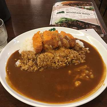 実際訪問したユーザーが直接撮影して投稿した船場中央カレーマウンテンカレーの写真