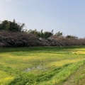 実際訪問したユーザーが直接撮影して投稿した水城城 / 城跡水城跡の写真