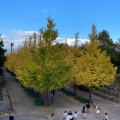 実際訪問したユーザーが直接撮影して投稿した佐原公園あづま総合運動公園の写真