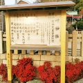 実際訪問したユーザーが直接撮影して投稿した神社叶神社の写真